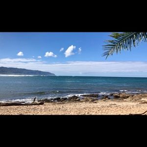 Meet your Posher, Trish